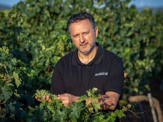 ALDEANUEVA DE EBRO (LA RIOJA), 10/08/2022.- El director general de Viñedos de Aldenueva, Abel Torres, en uno de los viñedos de esta localidad este miércoles en que ha comenzado la vendimia en la Denominación de Origen Calificada (DOCa) Rioja, con la recogida de la uva blanca tempranillo , una vendimia marcada por las altas temperaturas. EFE/Raquel Manzanares