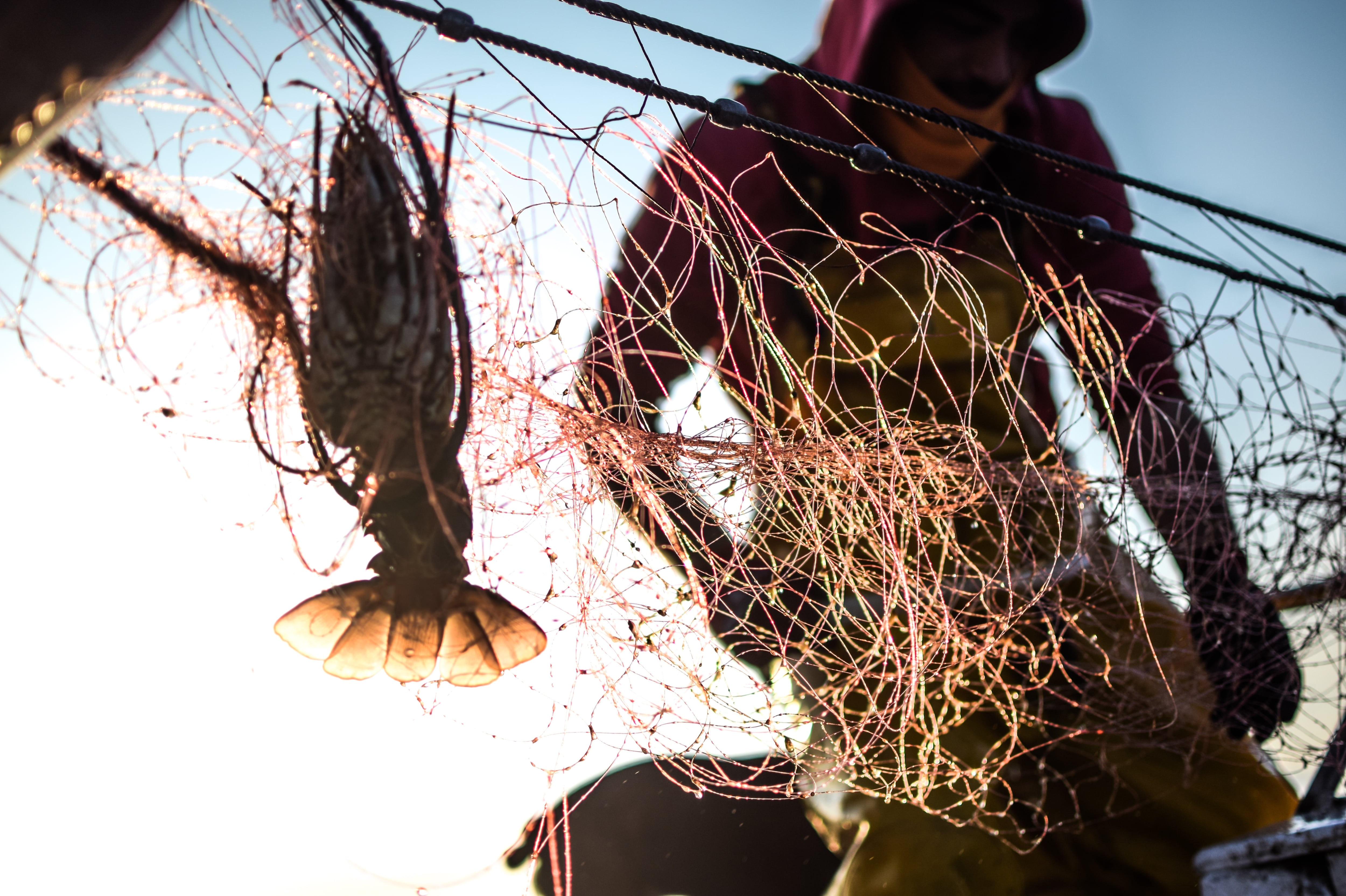 Imatge d&#039;una barca de pesca