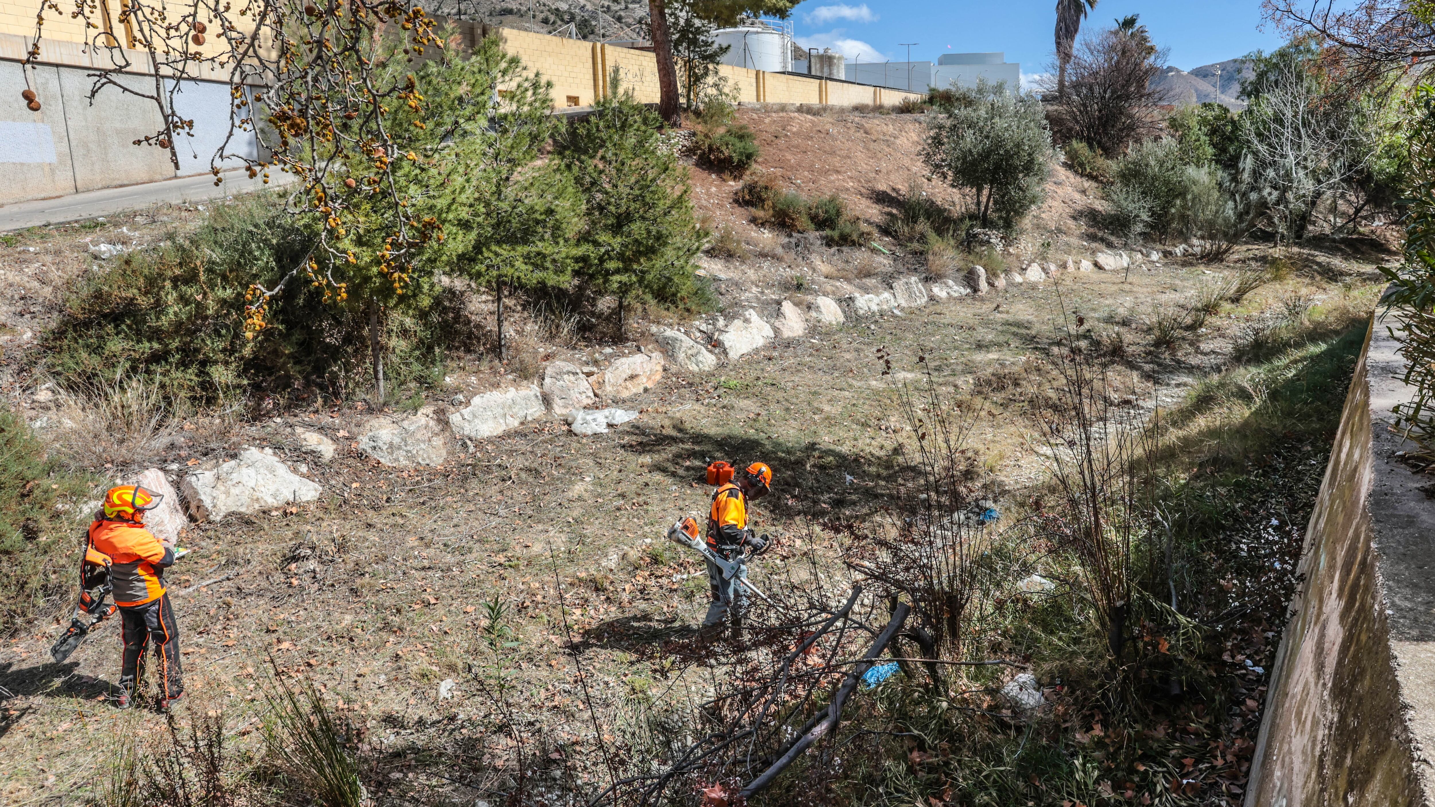 La actuación también incluirá la eliminación progresiva de especies no autóctonas introducidas por actividades de jardinería