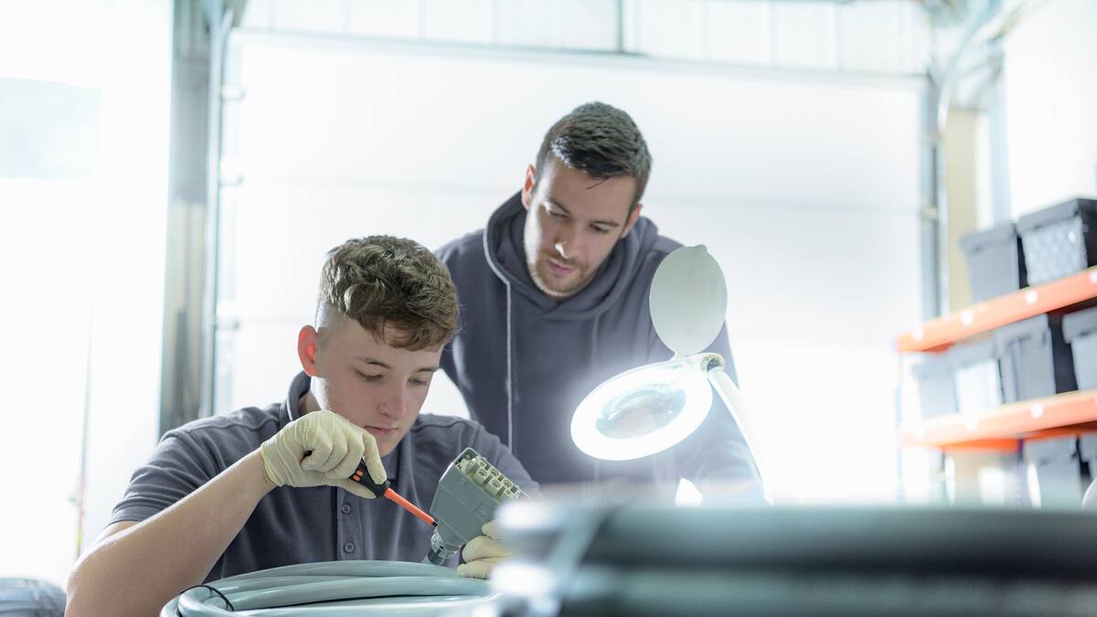 1.352 jóvenes de Palencia han estado de alta en la Seguridad Social en 2024 por sus prácticas no remuneradas