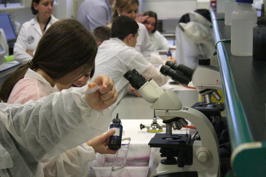 Jóvenes participando en la Semana de la Ciencia de la UJA.