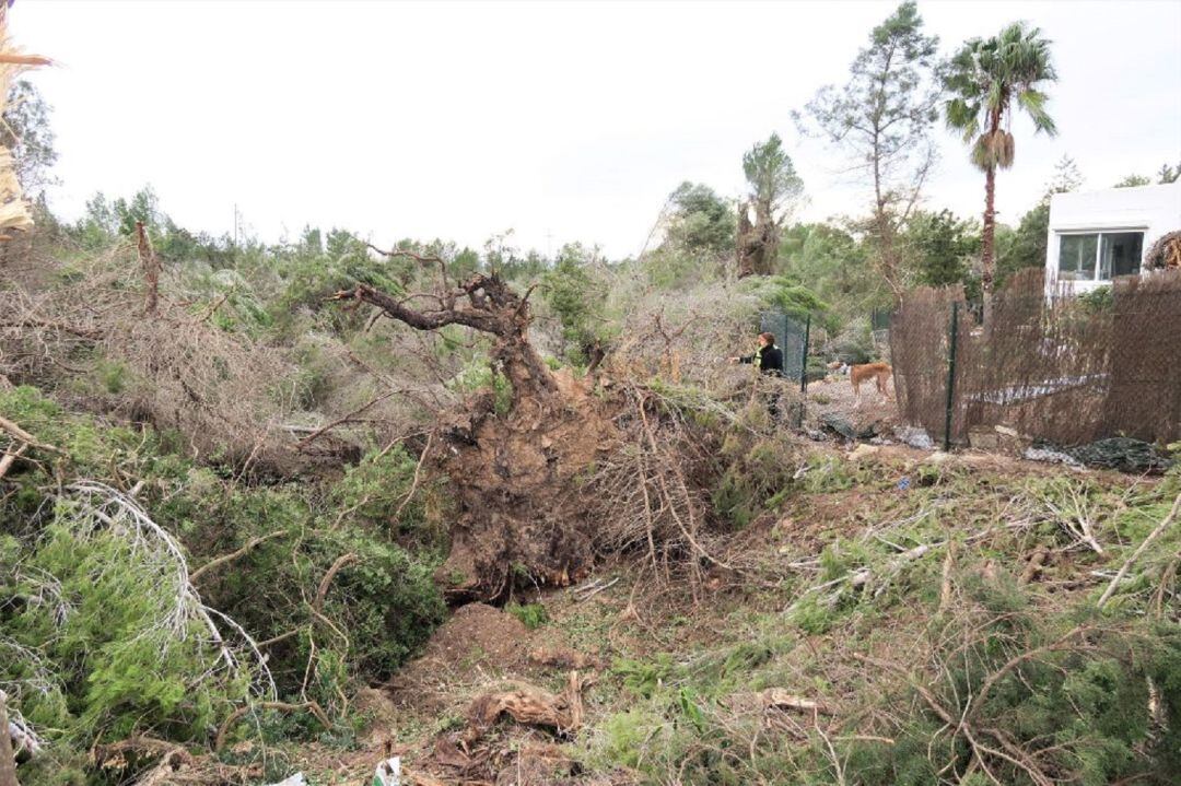 Imagen de la zona afectada