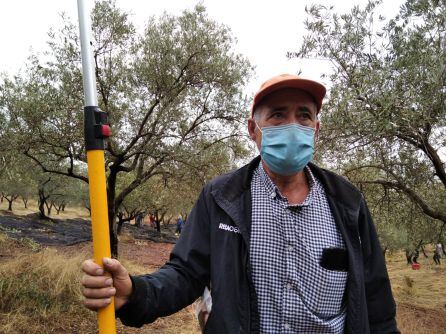 Santiago, el manijero de la cuadrilla que recoge la aceituna en este olivar de montaña de Córdoba
