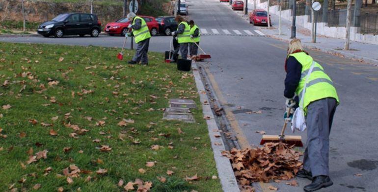 Trabajadores del servicio de limpieza recogiendo hojas caídas