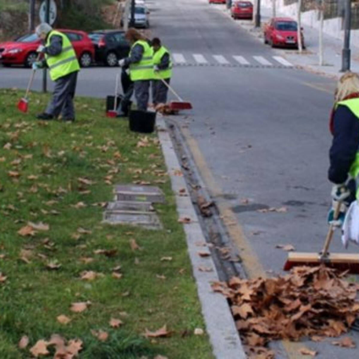 San Sebastián de los Reyes recoge de las calles el peso en hojas secas equivalente a un avión Airbus A330