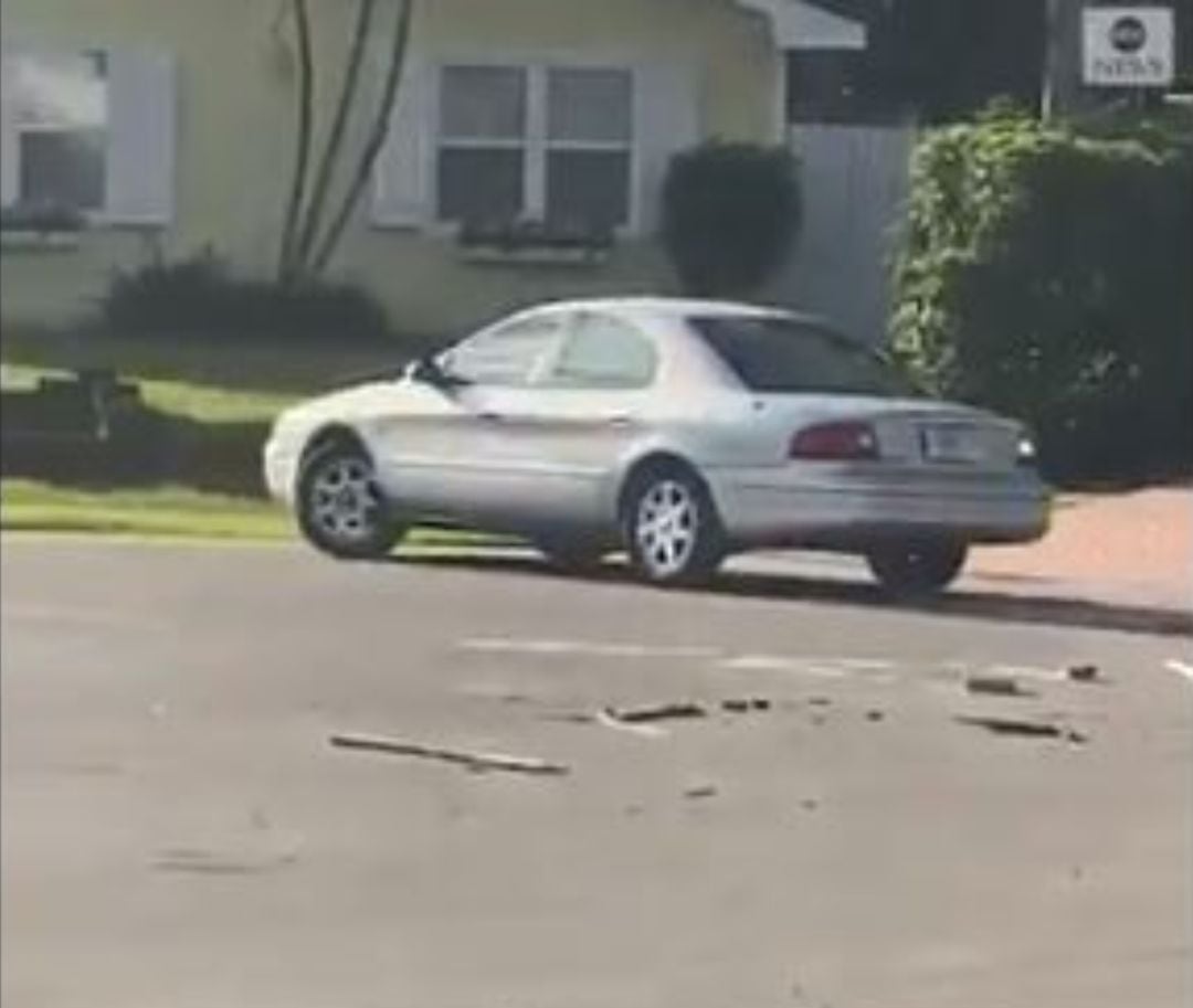 El coche con un can dentro.