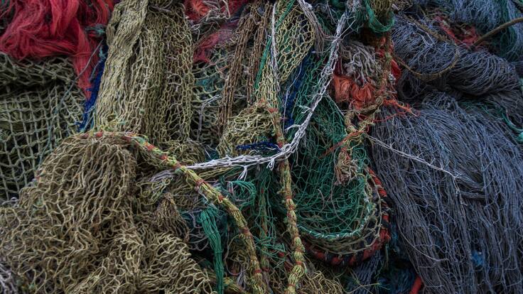 Redit, soluciones empresariales para problemas globales (03/12/2024)