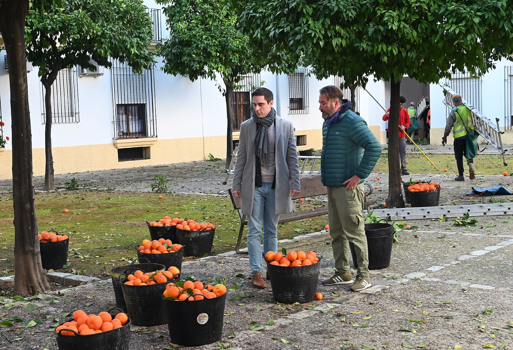 Jaime Espinar supervisando la recogida de naranjas