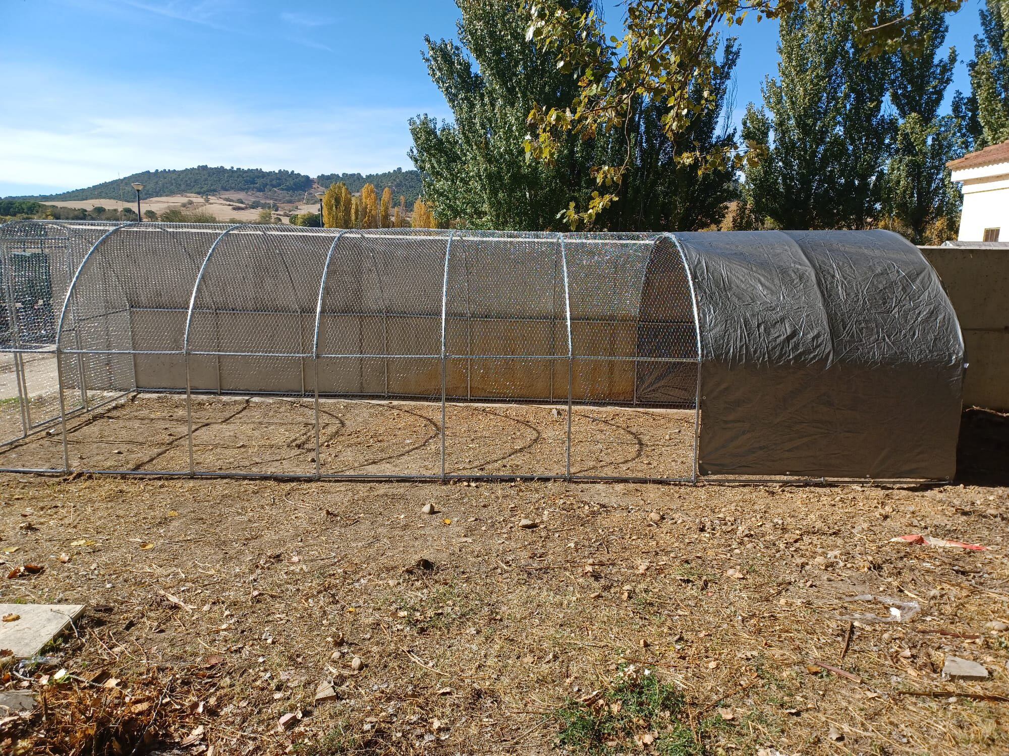 Gatera municipal instalada en Villamuriel de Cerrato para controlar a los gatos callejeros
