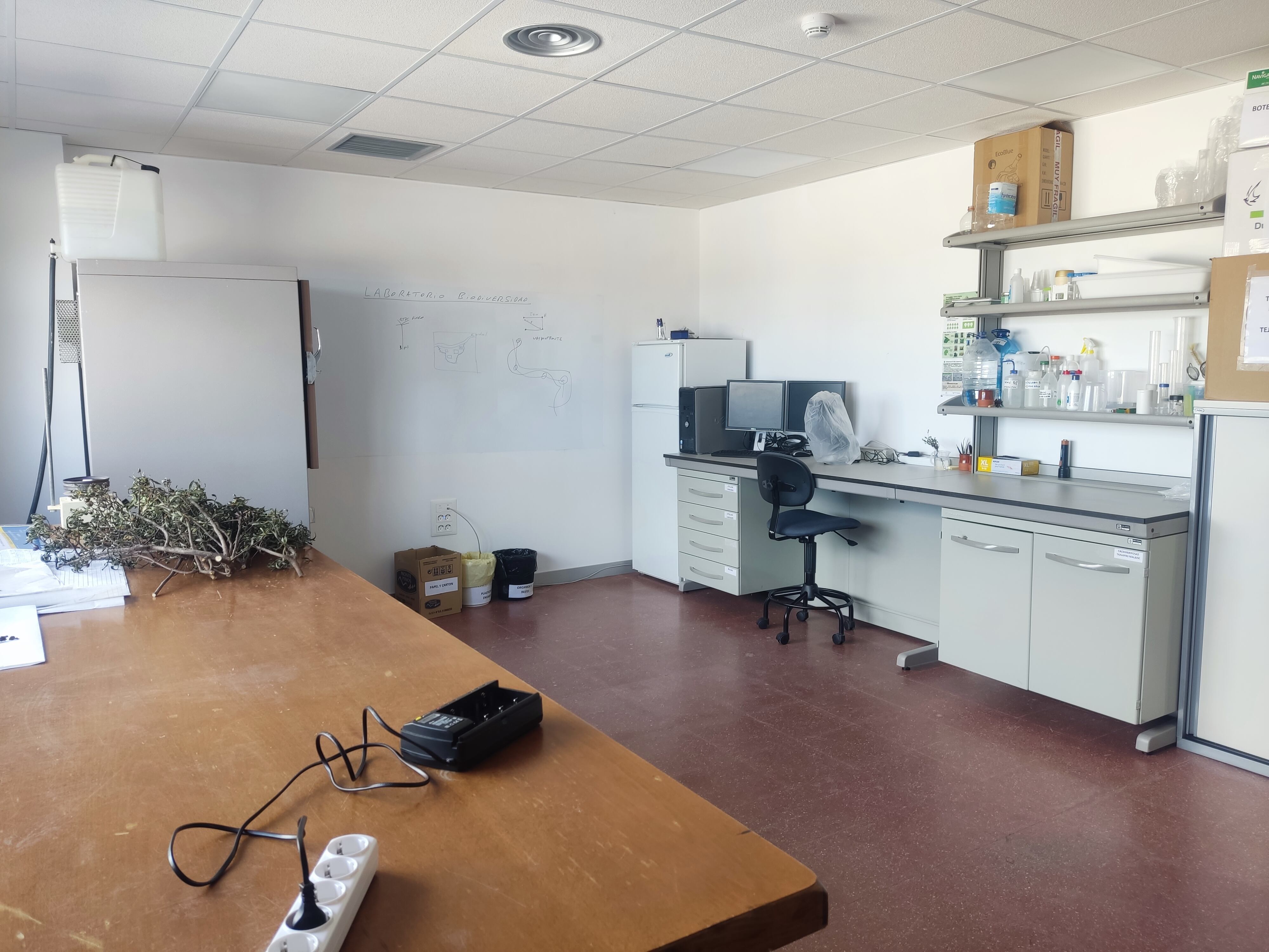 Laboratorio de biodiversidad