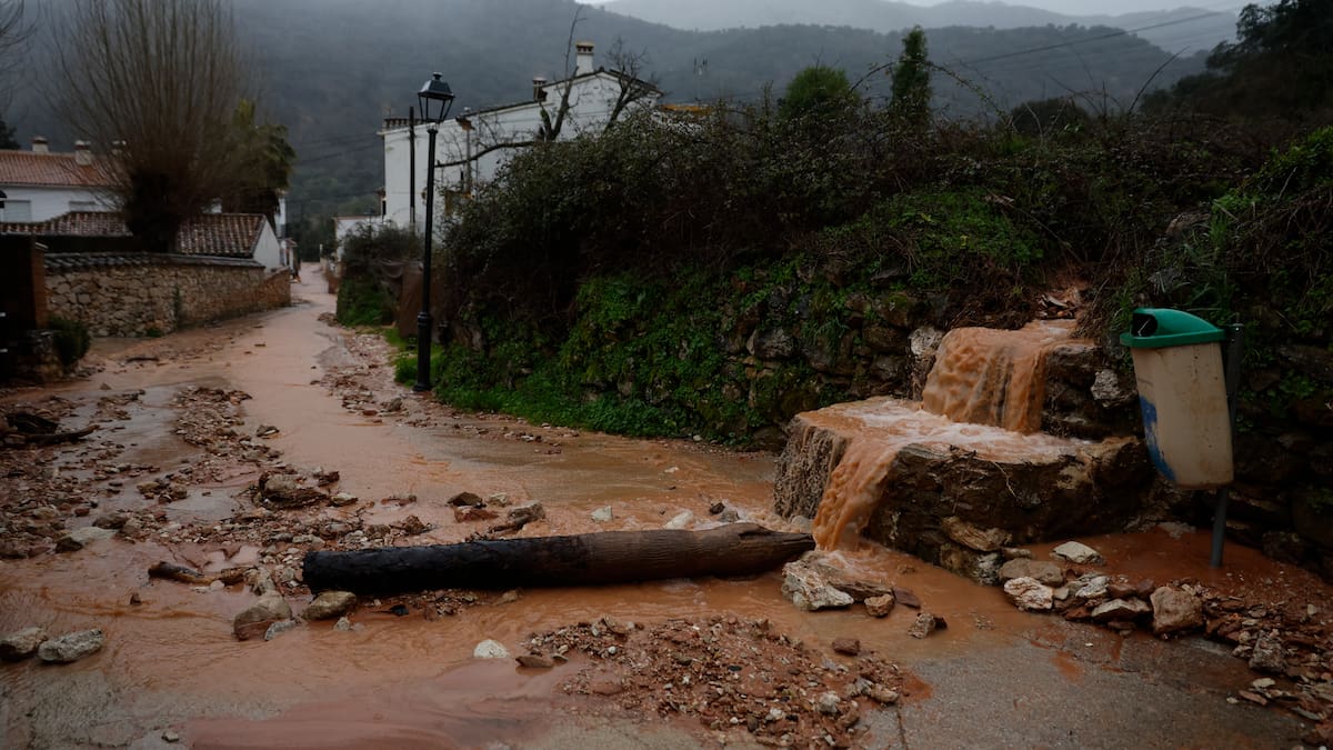 El tren de borrascas provoca daños en el campo malagueño por valor de 110 millones
