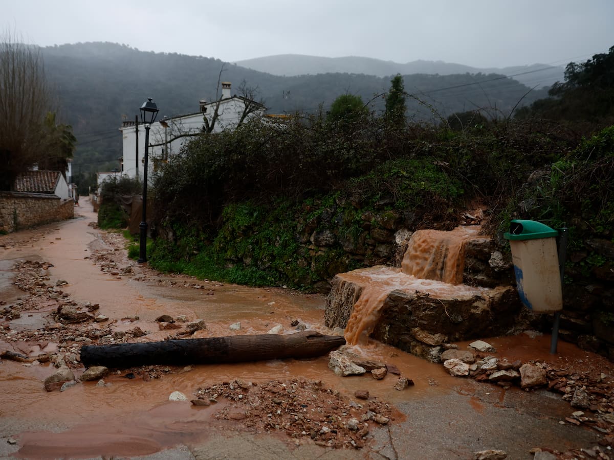 El tren de borrascas provoca daños en el campo malagueño por valor de 110 millones