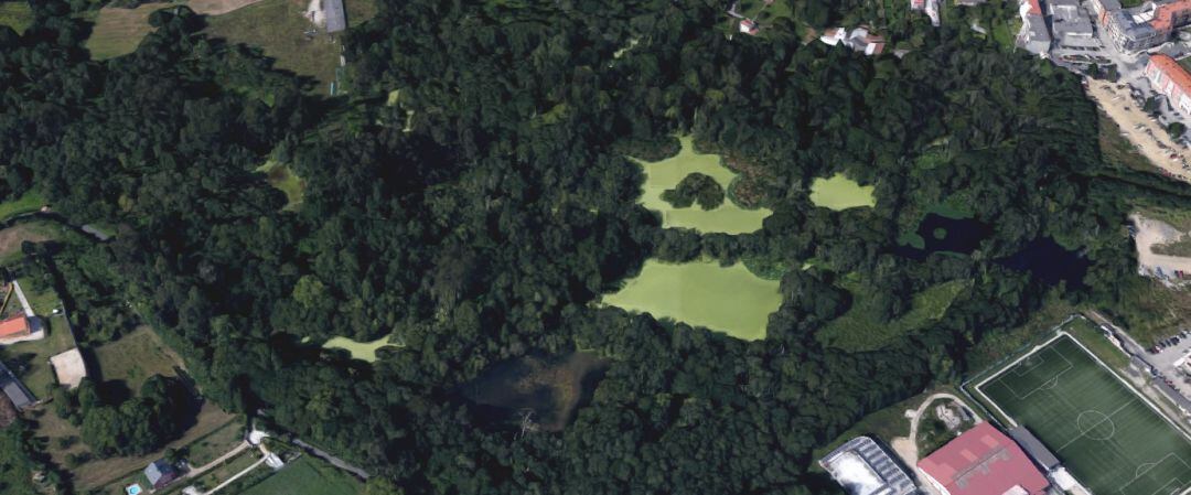 Humedal de As Brañas en Sada