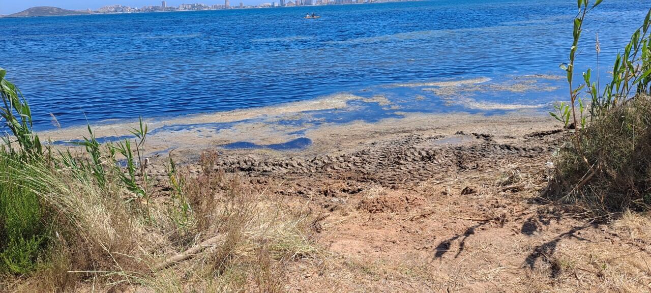 Playa del Mar Menor