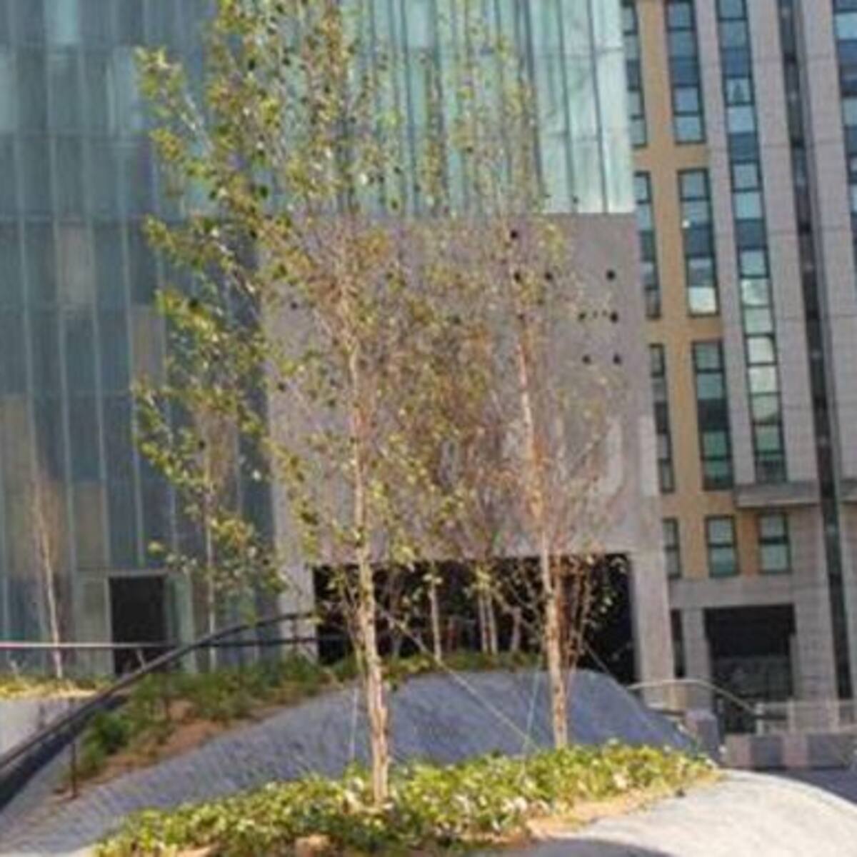 Reabierto al público el Museo de Ciencia y Tecnología de A Coruña