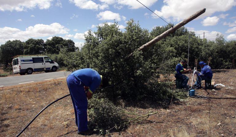 Operarios reponen cable de telefonía robado 