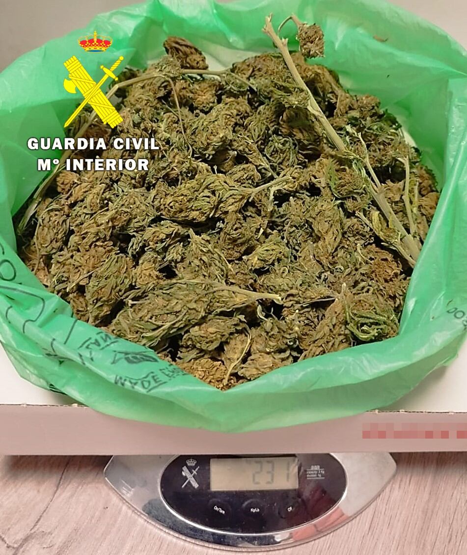 La Guardia Civil incautó 231 gramos de marihuana en Las Merindades