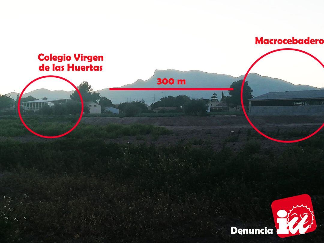 Críticas de IU por la remodelación de un cebadero próximo al colegio 'Virgen de las Huertas'