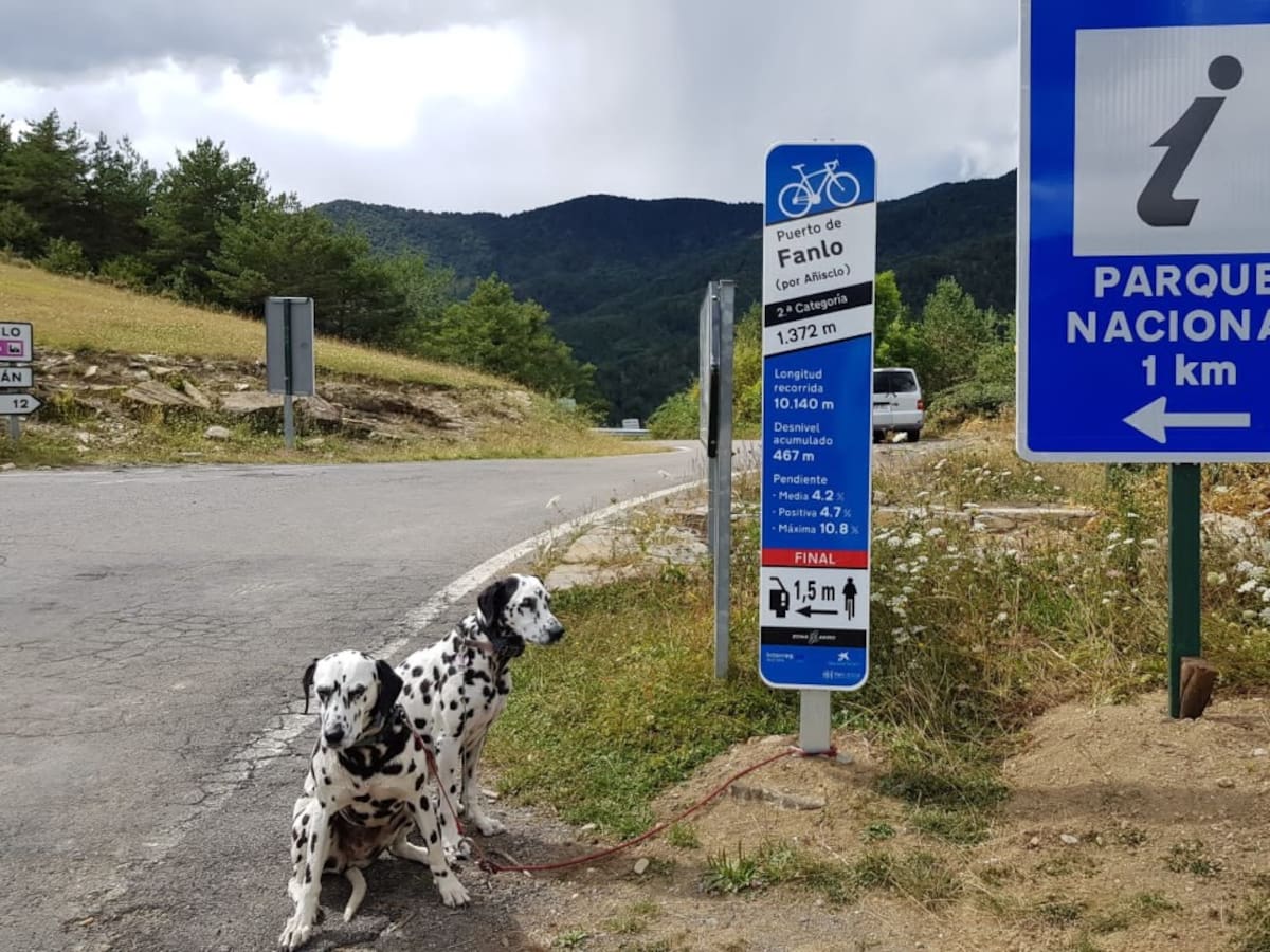 El PSOE exige la reapertura inmediata de la carretera entre Fanlo y Puyarruego