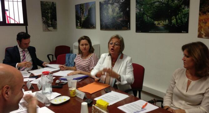 Bronca de la concejala Teresa Porras en la comisión de Medio Ambiente por las jardineras de calle Larios