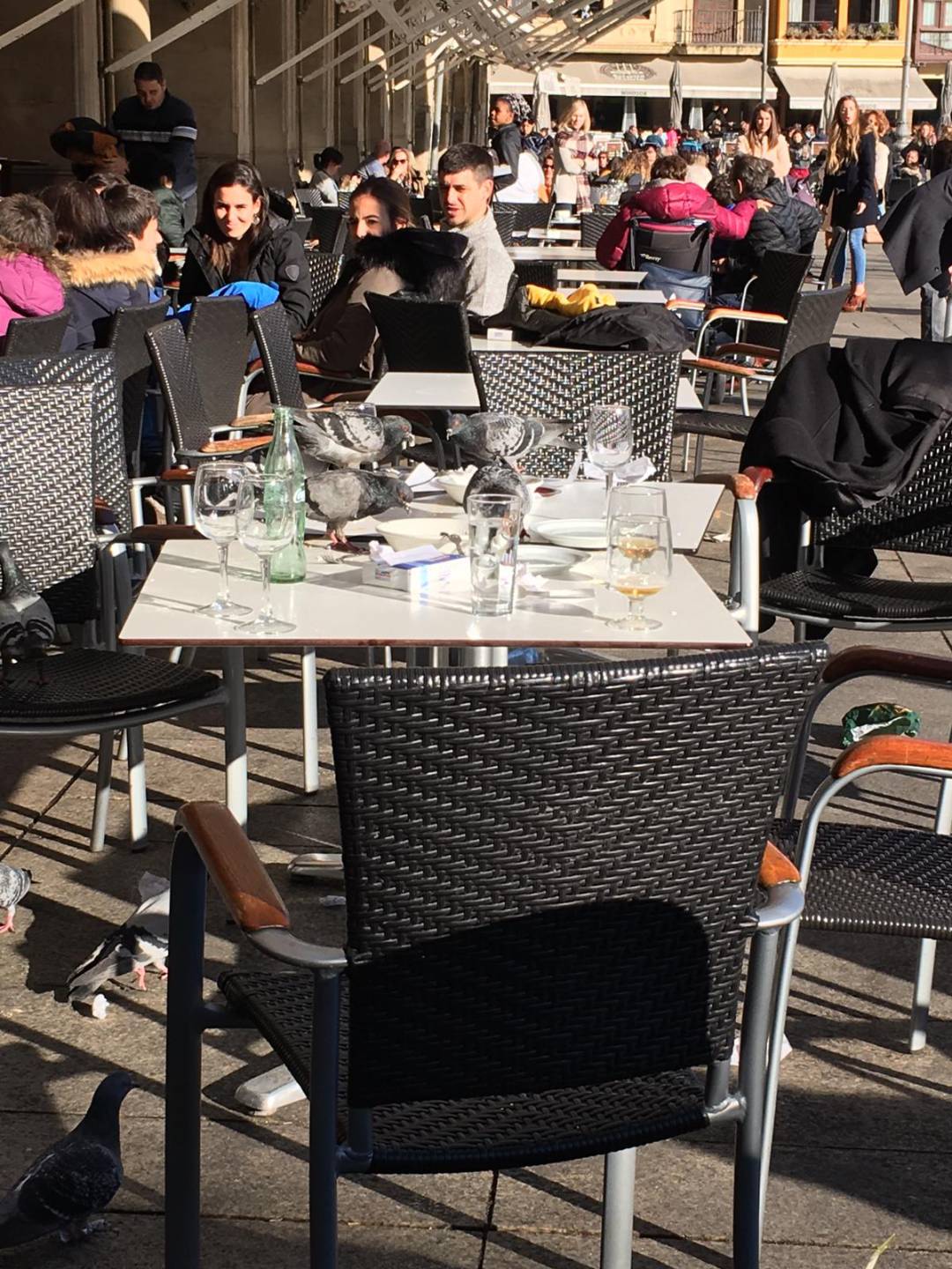 Presencia de palomas en una terraza de la plaza del Castillo de Pamplona