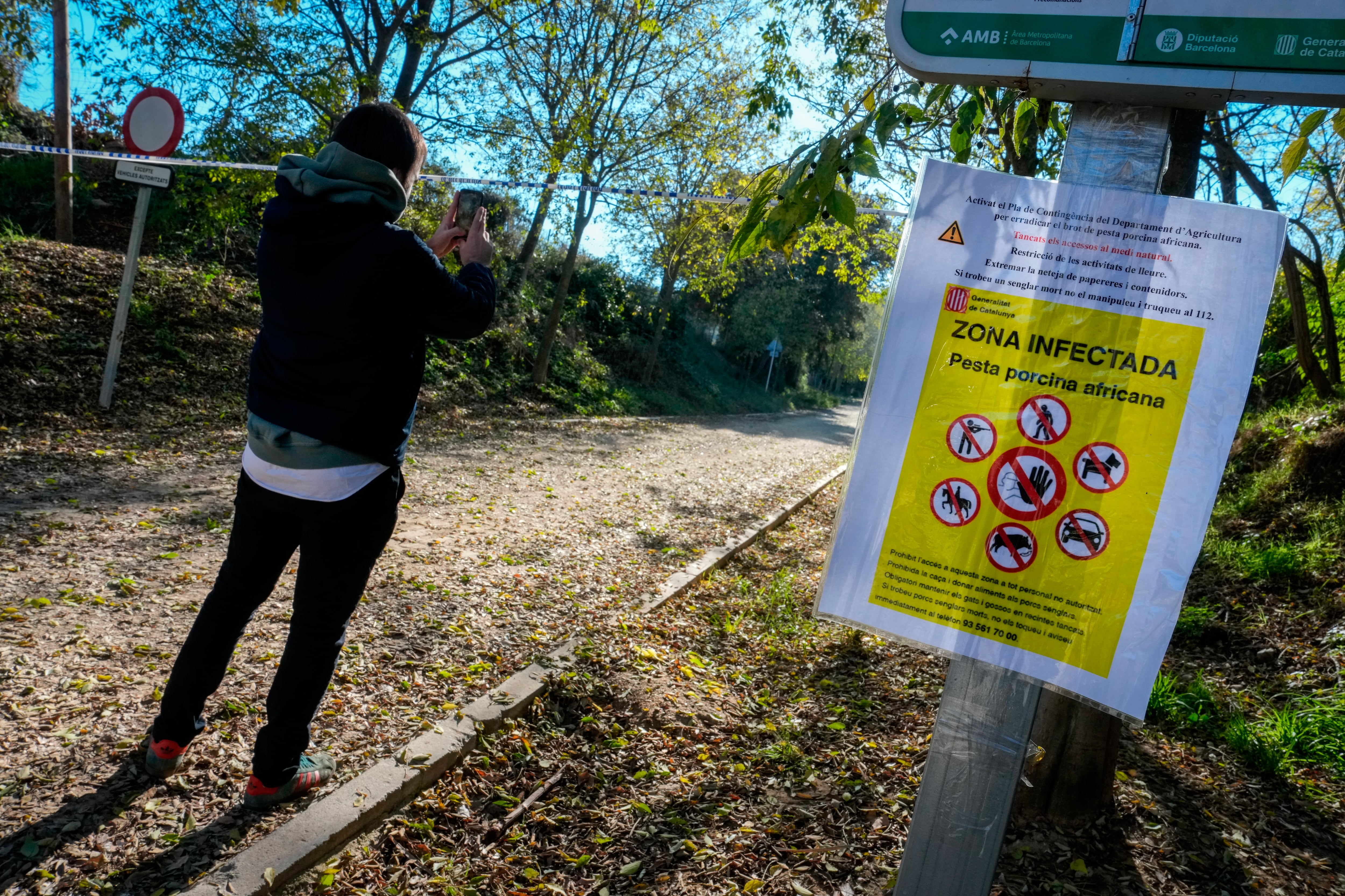 Aspecto de uno de los accesos al Parque Natural de Collserola, alertando de la presencia de la peste porcina hallada en jabalíes autóctonos de la zona, este lunes.