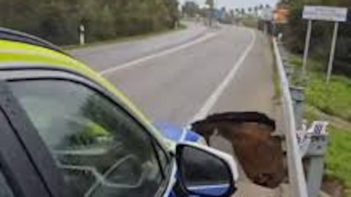 La Junta actuará de emergencia en la carretera de acceso a Rota, dañada con un socavón por la borrasca Ingrid