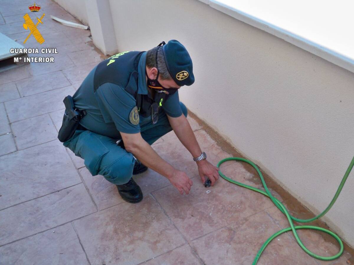 La Guardia Civil investiga a dos empleados de una empresa de construcción por un delito contra la fauna