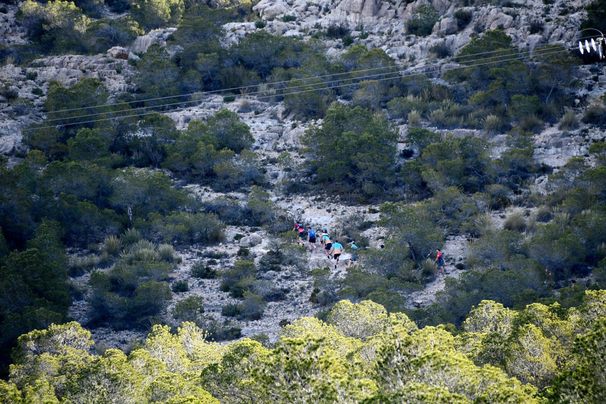 Momento de la carrera
