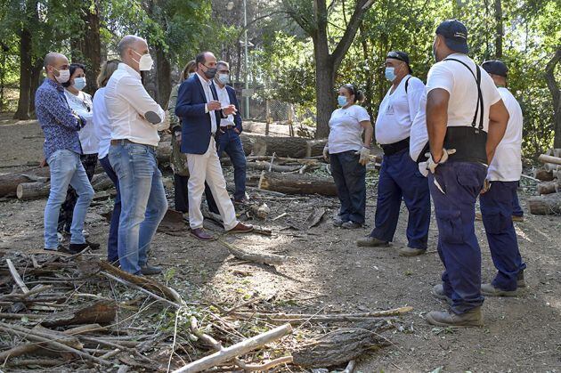 Trabajos de retirada de árboles dañados en el Zoo