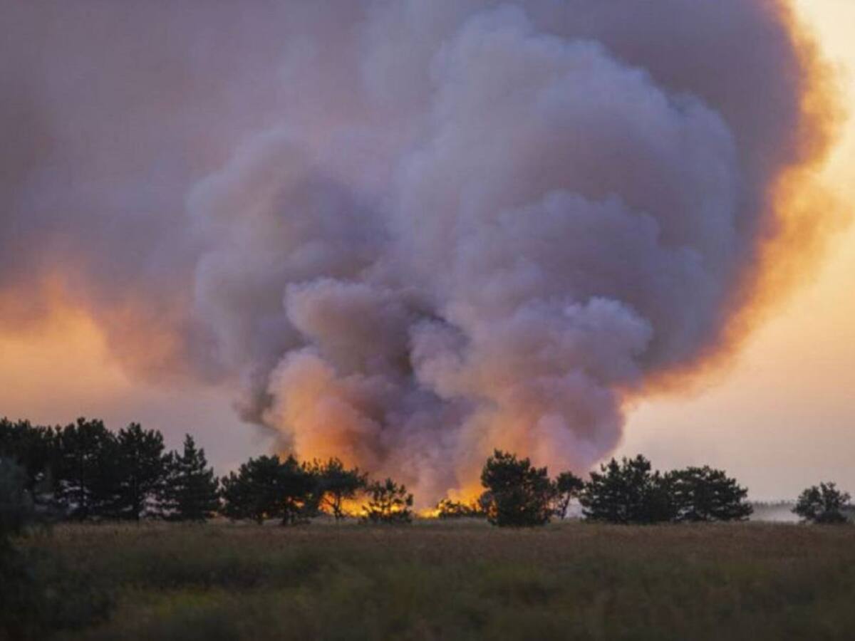 La Junta declara alerta de riesgo de incendios del 21 al 23 de julio en toda la Comunidad