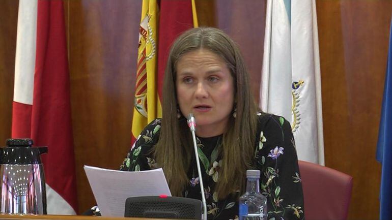 La portavoz de las matronas, Silvia Gonçalves, durante su intervención en el pleno municipal.