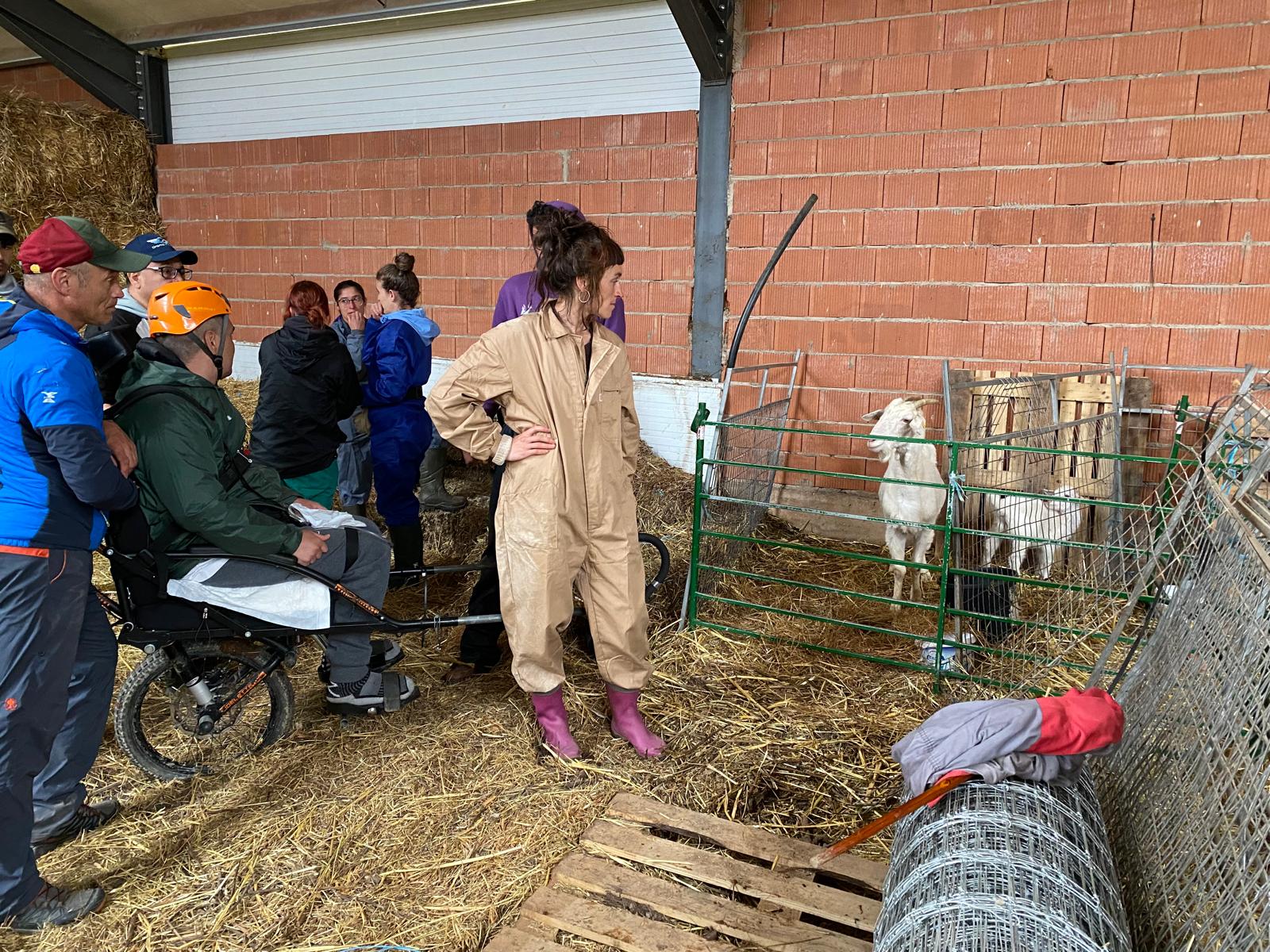 Aprendiendo el oficio del pastoreo con Reactiva Brañosera
