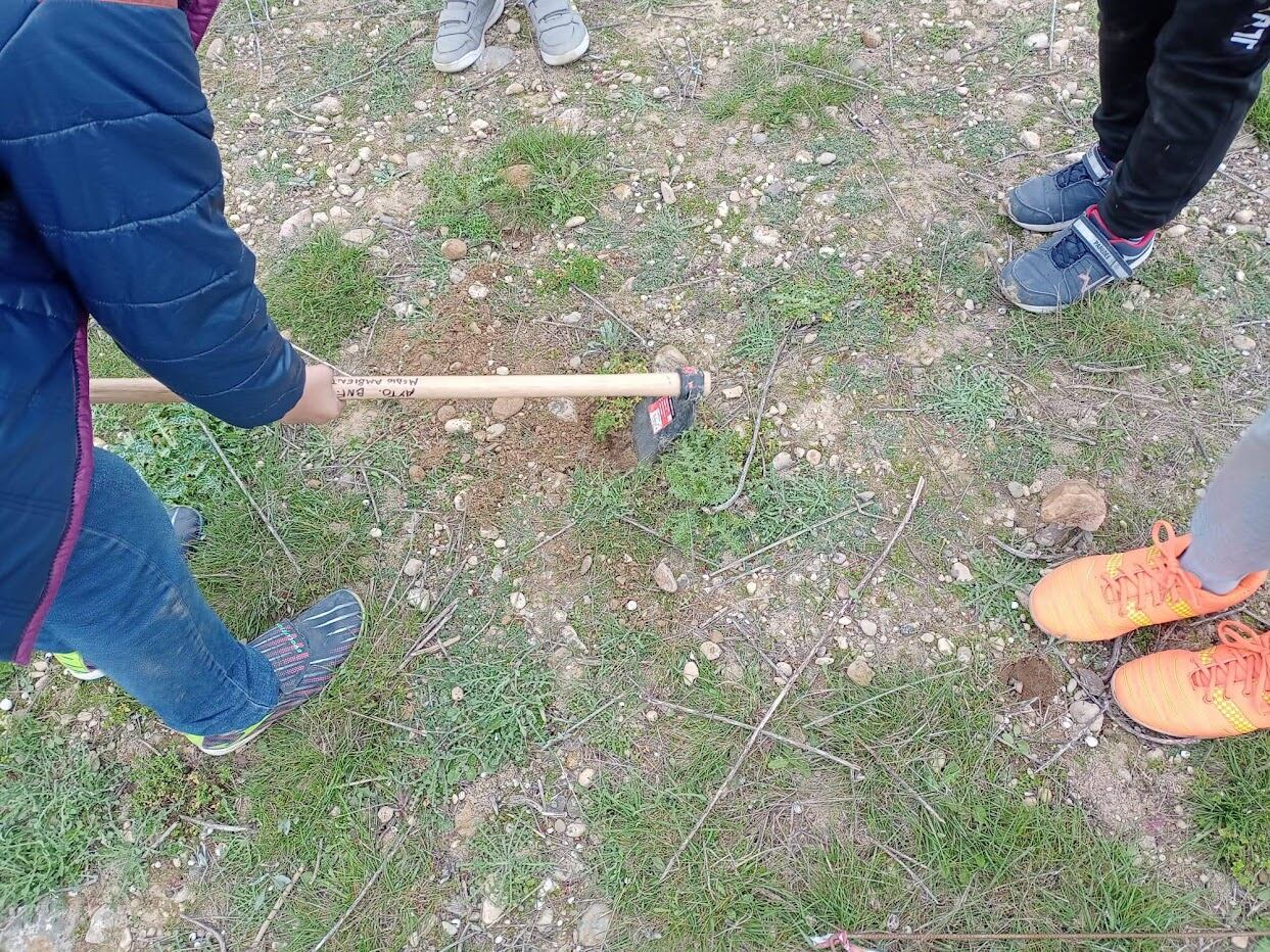 La plantación se realizará el domingo 17 de marzo