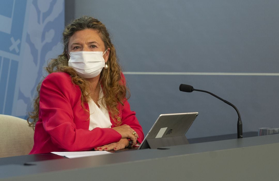 La consejera de Salud, Gotzone Sagardui, durante la rueda de prensa posterior al Consejo de Gobierno de este martes