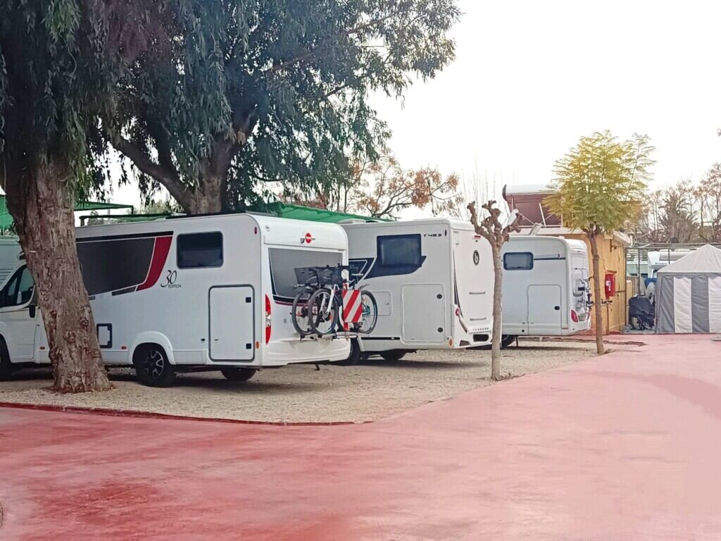 Camping El Jardín de El Campello (Alicante). Imagen de archivo