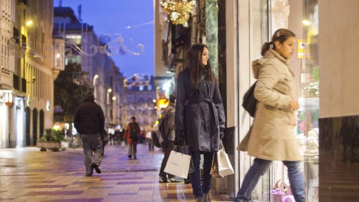 La compra por internet en comercios de Vitoria es "muy escasa y la mayoría son grandes empresas o franquicias"