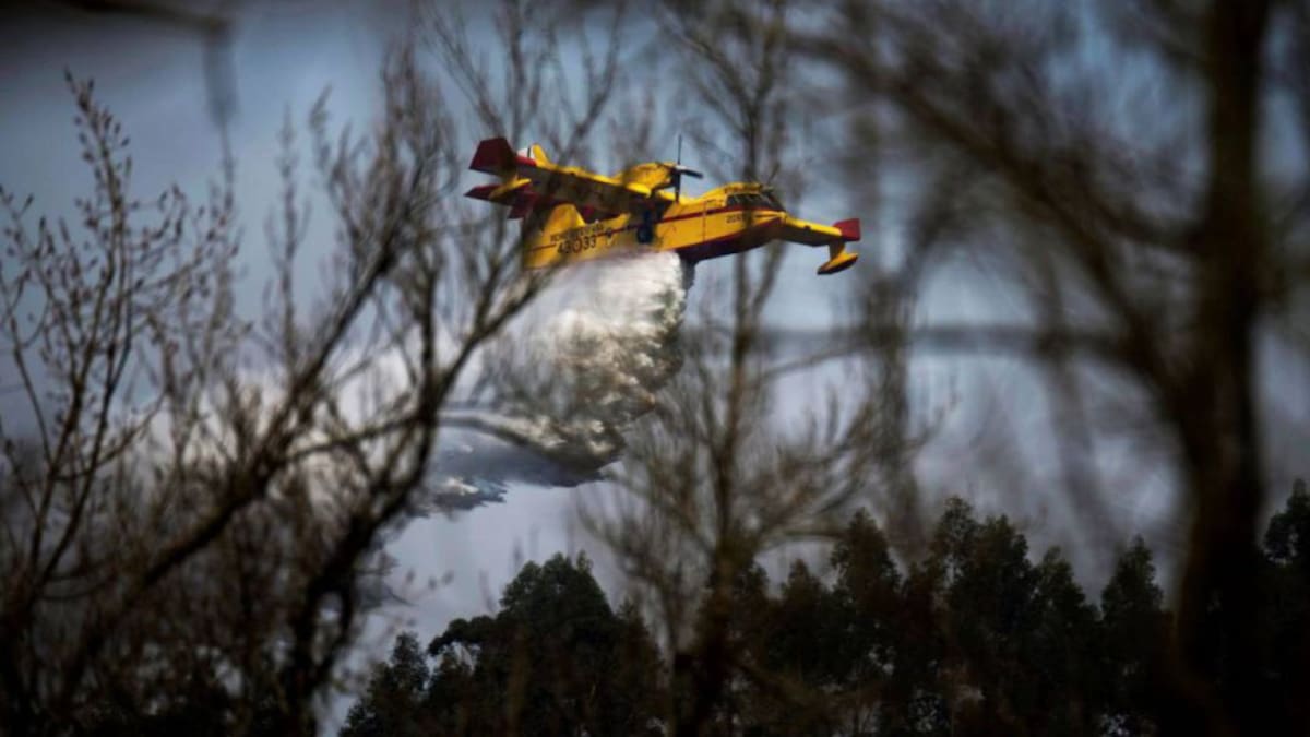 Bosques de Cantabria y Ramales de la Victoria