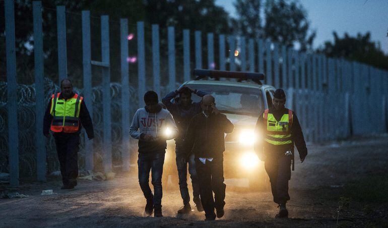 Policías húngaros escoltan a migrantes tras entrar en Hungría desde Serbia, en la madrugada de este jueves, en el pueblo de Roszke, a unos 180 kilómnetros de Budapest, Hungría. 