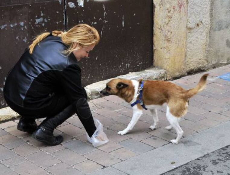 Los propietarios de perros que no cumplan con la recogida de excrementos serán sancionados