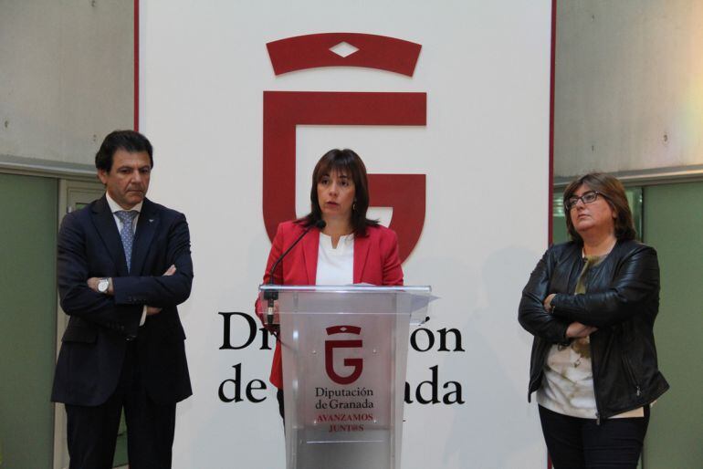 Presentación del Plan de Inclusión Activa &quot;PROGRESA&quot; en la Diputación de Granada