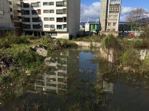 Vista del interior de la parcela del 156 de Rosalía de Castro con algunos patos nadado en su interior