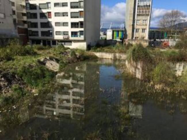 Vista del interior de la parcela del 156 de Rosalía de Castro con algunos patos nadado en su interior