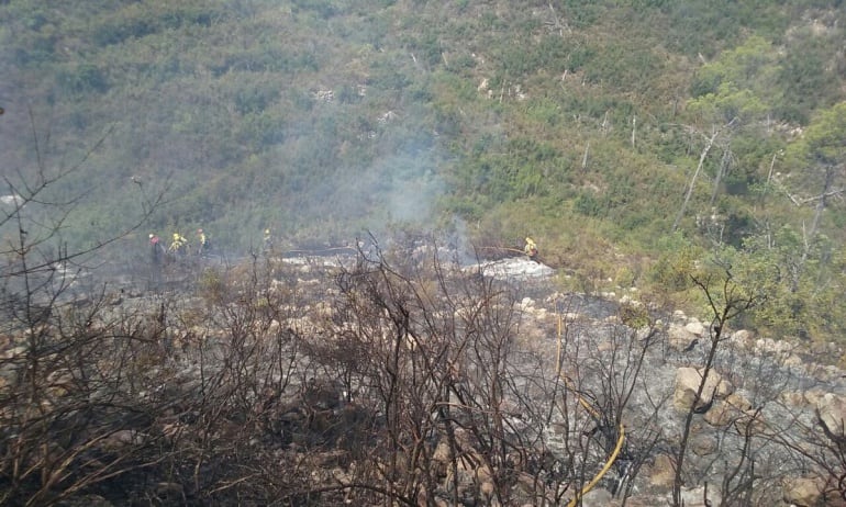 Bomberos Forestales de la Generalitat trabajando en la zona