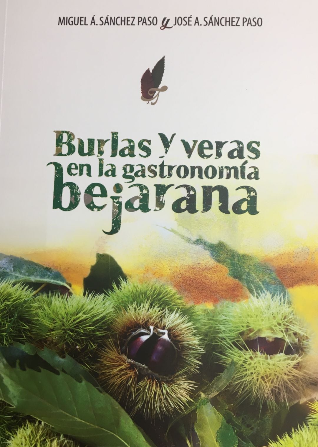 Portada del nuevo libro editado por la Diputación de Salamanca