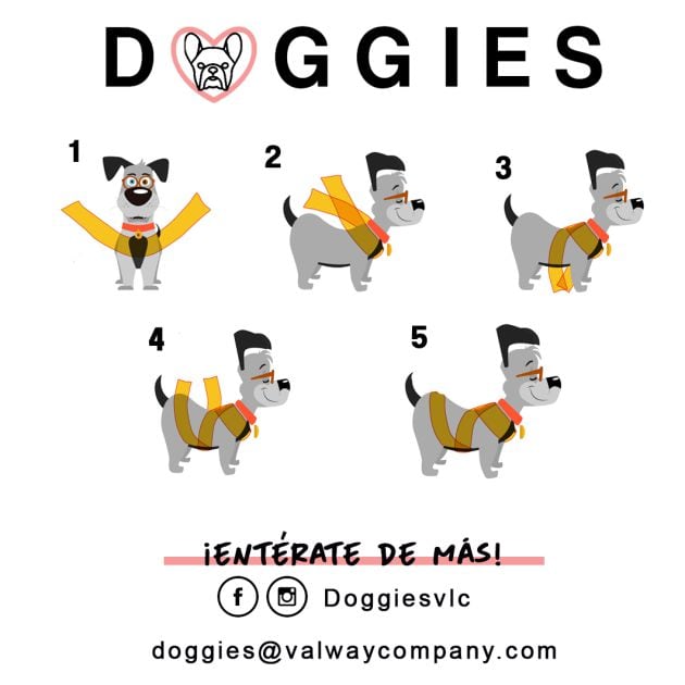 Instrucciones de Doggies, la banda para perros