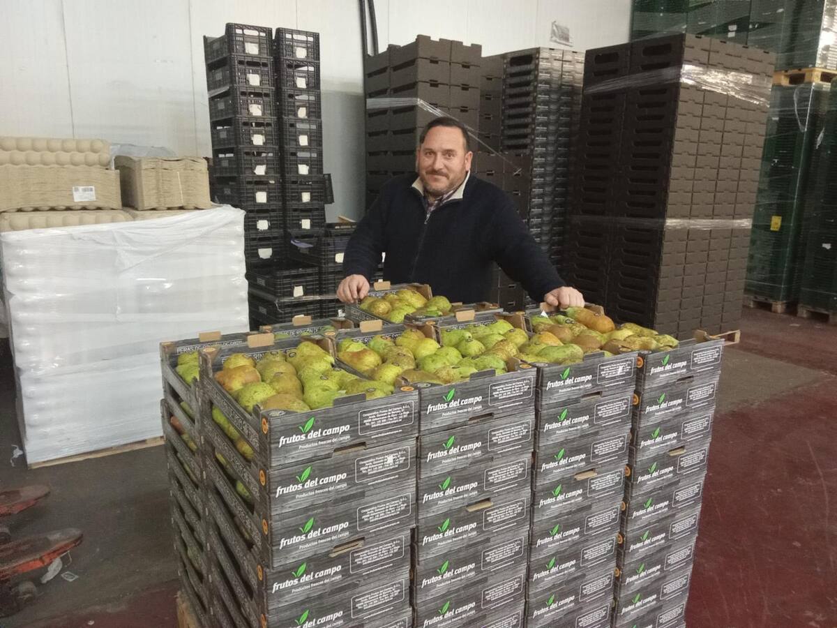 Rodrigo Mauleón, nuevo presidente de la Denominación de Origen Peras de Rincón de Soto