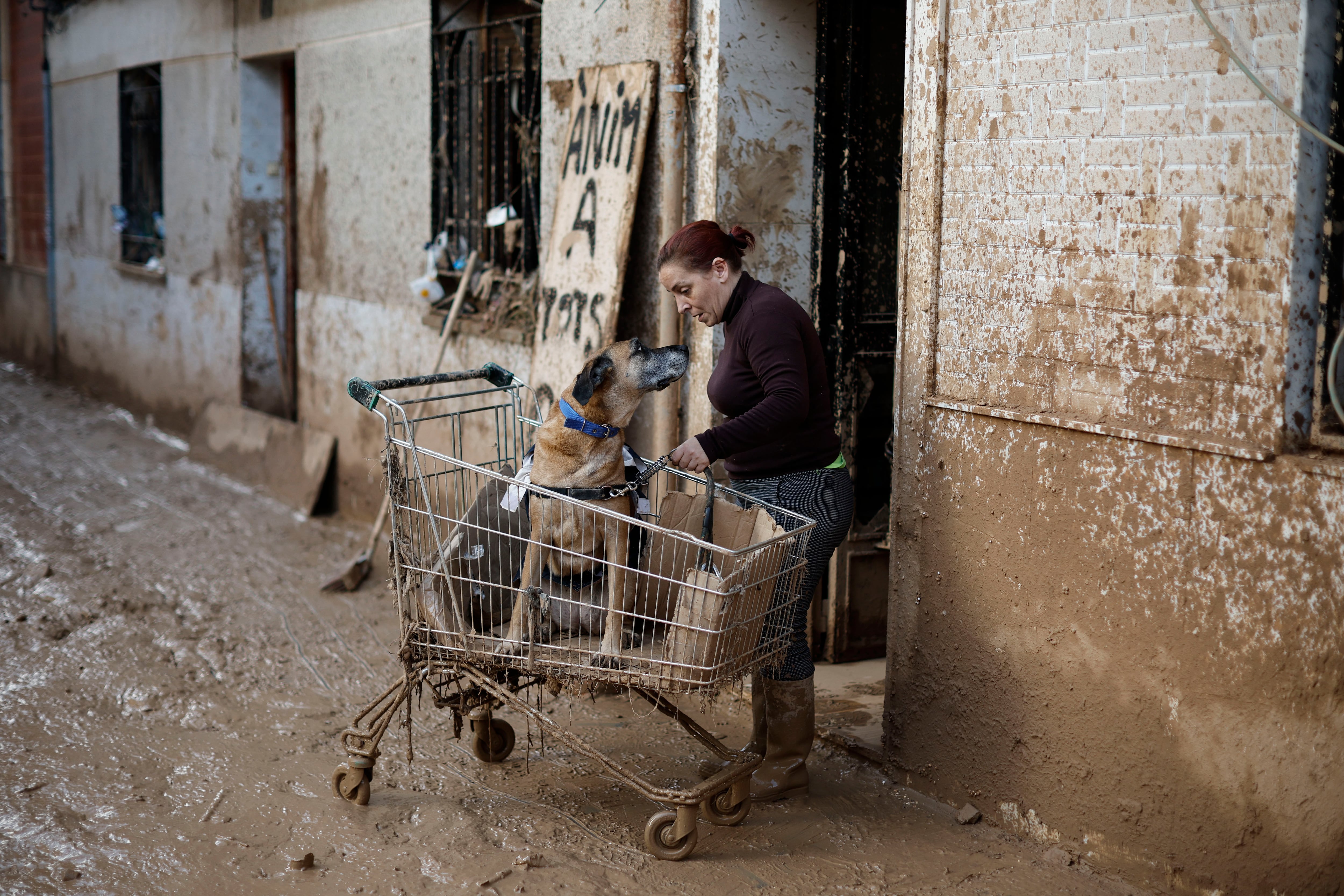 -FOTODELDÍA- PAIPORTA (VALENCIA), 07/11/2024.-  Una vecina y su perro en Paiporta, Valencia, este jueves. Los pueblos de Valencia asolados por la dana afrontan el noveno día después de la catástrofe sumidos en un goteo incesante de llegada tanto de ayuda humanitaria como profesional y de maquinaria pesada, para intentar recuperar infraestructuras, colegios, zonas industriales y vías de comunicación mientras continúa la búsqueda de desaparecidos. EFE/ Biel Aliño
