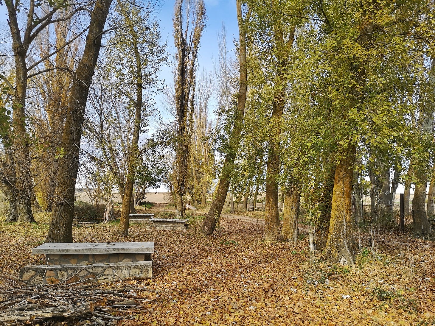 Área recreativa en el entorno de la fuente redonda de Uclés (Cuenca).