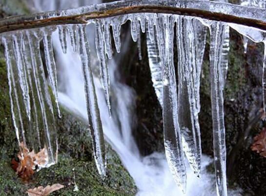 Las ramas de algunos árboles han amanecido con formaciones similares a estalactitas de hielo a consecuencia de las bajas temperaturas que se registran en la Sierra de Francia, entre los términos municipales de El Maillo y Serradilla del Arroyo, en Salaman